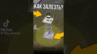 🧐 Лучшая нычка в PUBG Mobile pubgmobile пабг pubg пубг [upl. by Merrill515]