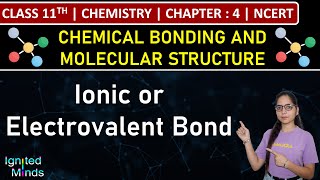 Class 11th Chemistry  Ionic or Electrovalent Bond  Chapter 4  NCERT [upl. by Dupuis737]