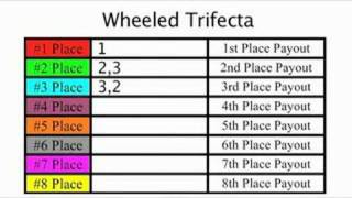 OffTrack Betting  Trifecta Bets in OTB [upl. by Astera]