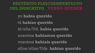 QUERER  PRETÉRITO PLUSCUAMPERFECTO del INDICATIVO  CONJUGACIÓN DE VERBOS EN ESPAÑOL [upl. by Camarata571]