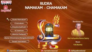 Rudra Namakam Chamakam by Y N Sharma YouTube [upl. by Eisoj856]