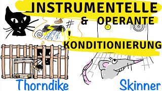 Instrumentelle amp operante Konditionierung  Skinner Thorndike und der Behaviorismus [upl. by Elonore976]