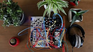 Ambient session w modular synth Mutable Instruments Rings Plaits Marbles Make Noise Morphagene [upl. by Brandi913]