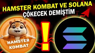 SOLANA VE HAMSTER KOMBAT BEN DEMİŞTİM AMA DİNLEMEDİNİZ [upl. by Arraeic]