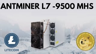 Antminer L79500 Mhs 🔥Best Doge AND Litecoin Miner 🔥Full Review Vikrant Tech 💯 [upl. by Euqinu632]