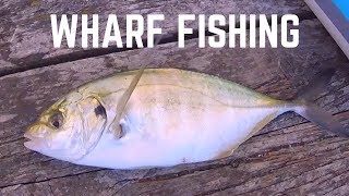 Amazing Wharf Fishing Spot  Snapper Trevally amp HUGE Stingrays [upl. by Anirod]