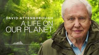 David Attenborough  A Life On Our Planet  Audio Book [upl. by Edd]