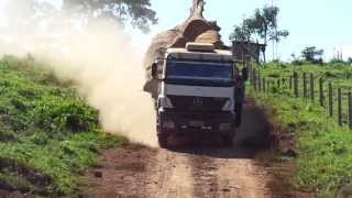 Mercedes Axor 3340 Carregado de Garapeira Vindo do Manejo MT [upl. by Truman592]