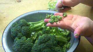 How to Make THE BEST Broccoli Salad [upl. by Jerri206]