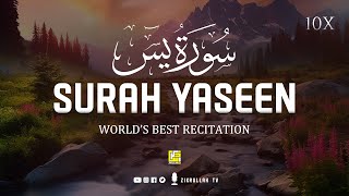 Worlds most Amazing recitation of Surah Yasin Yaseen سورة يس  Zikrullah TV [upl. by Kcira]