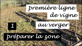 Planter des vignes au futur verger  partie 1 préparer la zone [upl. by Alahc]