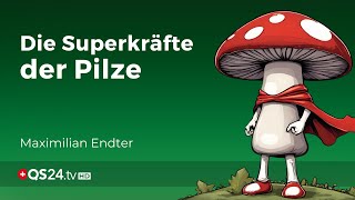 Die kleinen Heiligen Die erstaunliche Welt der Pilze und ihre gesundheitlichen Vorteile  QS24 [upl. by Noir]