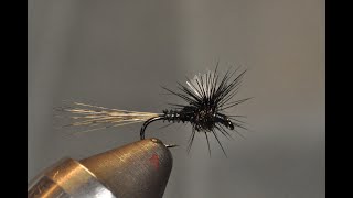 Noir Mayfly [upl. by Urania]