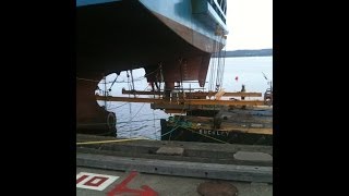 Marine Engineer  Ship Main Engine Survey Inspection Stern Tube Inspection [upl. by Heindrick]