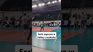 Zagrywka w siatkę reprezentacjapolski siatkówka plusliga shorts mksbędzin serve zagrywka [upl. by Guthrey]