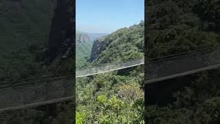 Suspension bridge Oribi gorge [upl. by Ynatsyd722]