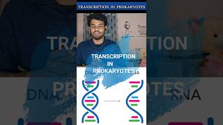 Transcriptionprokaryotestamilnotesrna synthesisprocessdiagramgene expressioncsir netDna [upl. by Eibur]