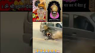 Jai shree shyam  khatu shyam status shyam baba whatsapp status khatu shyam bhajan shyam shotrs [upl. by Tuorah]