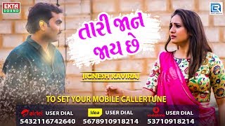 Jignesh Kaviraj  New Sad Song  Tari Jaan Jaay Chhe  Full Audio  RDC Gujarati [upl. by Laefar184]