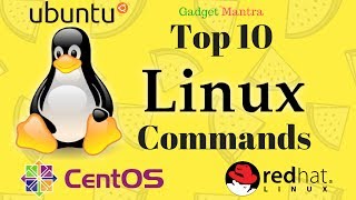 Top 10 Linux Commands That Everyone Should Know [upl. by Anirtik588]