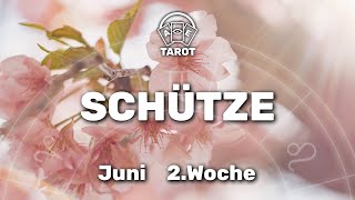 Schütze♐ KW 24 10Juni  16Juni 24  Für Ordnung und Struktur sorgen  Tarot Horoskop Orakel [upl. by Ellinad]