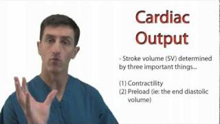 The Physiology of Cardiac Output [upl. by Wahl]