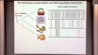 Introduction to Regulatory Genomics and Epigenomics I Intro to the Biology of Gene Regulation [upl. by Sulokcin]