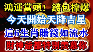 鴻運當頭！錢包撐爆！今天開始天降吉星！這6生肖賺錢如流水！就連財神爺都特別羨慕你！運勢 風水 佛教 生肖 发财 横财 【佛之緣】 [upl. by Enorahs552]