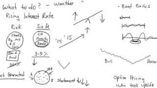 How to make money in a rising interest rate environment [upl. by Sainana]