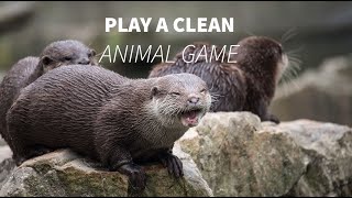 Play a clean animal game [upl. by Ming73]