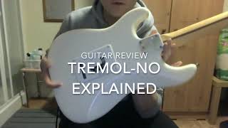 TremolNo Explained on Fender USA Stratocaster [upl. by Rani]