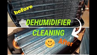 Καθαρισμός Αφυγραντήρα  Dehumidifier cleaning DIY the right way Meaco morris inventor toyotomi [upl. by Mclain817]