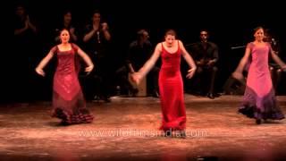 Grupo Español realiza el Baile Flamenco en ICCR [upl. by Labanna612]