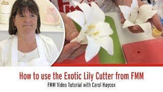 FMM Exotic Lily Cutter Set [upl. by Hares]