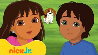 Dora and Friends  Dora en vriendjes dieren amp sprookjesavonturenmarathon  Nick Jr Nederlands [upl. by Serafine]