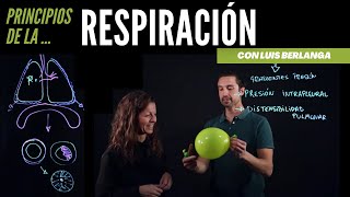 Ventilación pulmonar principios básicos de la respiración [upl. by Almita]