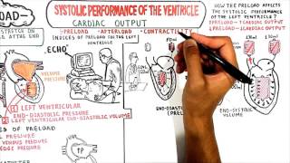 CARDIAC MUSCLE MECHANICSPRELOAD USMLE Step 1 [upl. by Neelav878]