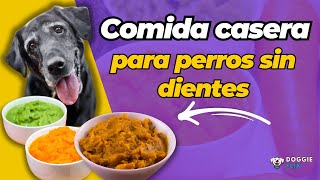 Cómo Preparar Comida Casera para Perros Sin Dientes [upl. by Aititil]