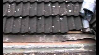 EPDM Rubber Roof DIY  FLAT ROOF  DIY  Felt Roof [upl. by Acirema858]