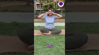 How To Do Bhramari Pranayama  StepbyStep Guide [upl. by Niassuh]