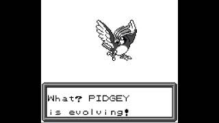 Pokémon Brown 20th Anniversary Edition Pidgey Evolution [upl. by Pomeroy]