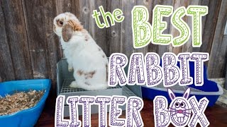 Rabbit Litter Box Comparison [upl. by Danny]