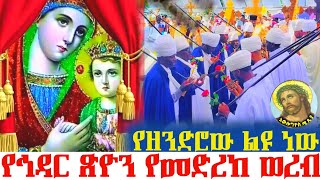 የኅዳር ጽዮን የመድረክ ወረብ በሊቃውንቱ ye medrek wereb Awlogyose [upl. by Auhsuoj892]