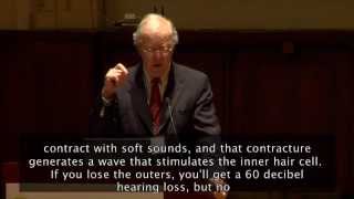 Hearing Restoration Summit George Gates PhD presents on how we hear and how hearing loss occurs [upl. by Ecnahoy]