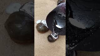 Casting Melting Aluminum into Snails shorts shortvideo viralvideo [upl. by Rhody296]