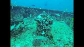 Miss Dania Beach Wreck Dive with Sea Experience [upl. by Niwdla]