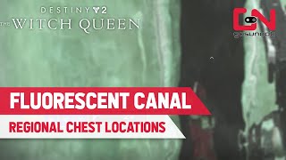 Destiny 2 FLUORESCENT CANAL ALL REGIONAL CHEST LOCATIONS Savathuns Throne World [upl. by Terina417]