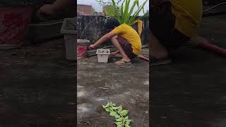 Roof garden cleaning 🧹Kids help  helpinghands gardening roofgarden cleaning gardencleaning [upl. by Domini255]