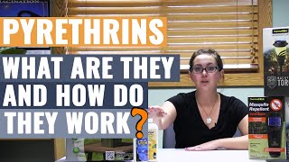 Pyrethrins  What are They and How do They Work [upl. by Sisile]