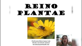 Reino Plantae  Briófitas e Pteridófitas  2° EM [upl. by Ecirb]